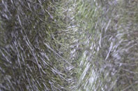 Saltaire fibreglass roof work